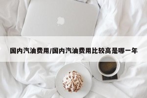 国内汽油费用/国内汽油费用比较高是哪一年