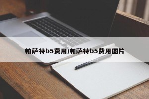 帕萨特b5费用/帕萨特b5费用图片