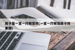 房子是一室一厅精装修(一室一厅精装房子效果图)
