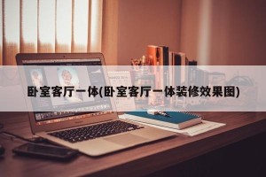 卧室客厅一体(卧室客厅一体装修效果图)